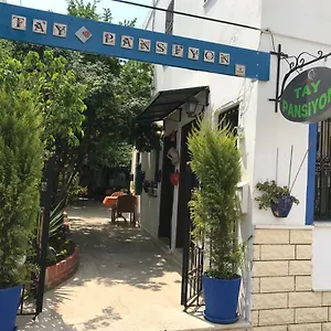 Tay **** Bodrum